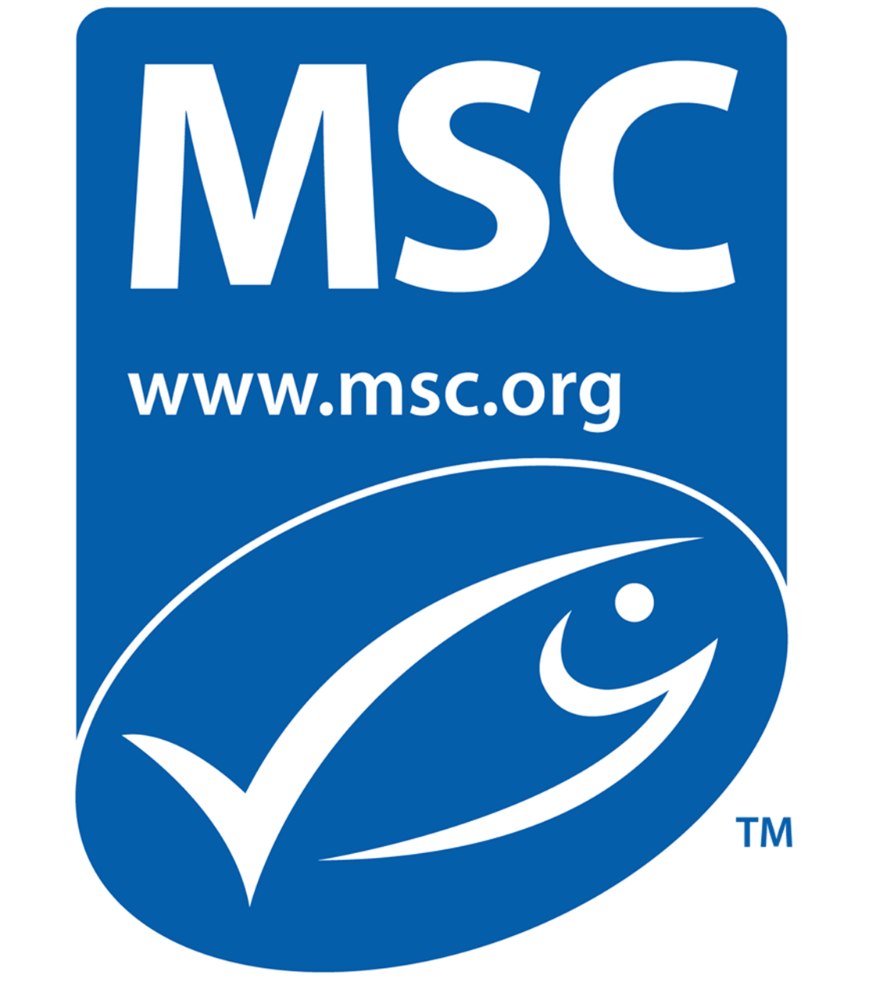 Serene Fish and Chips MSC members